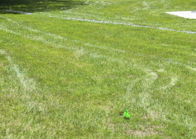Hydroseed Goshen